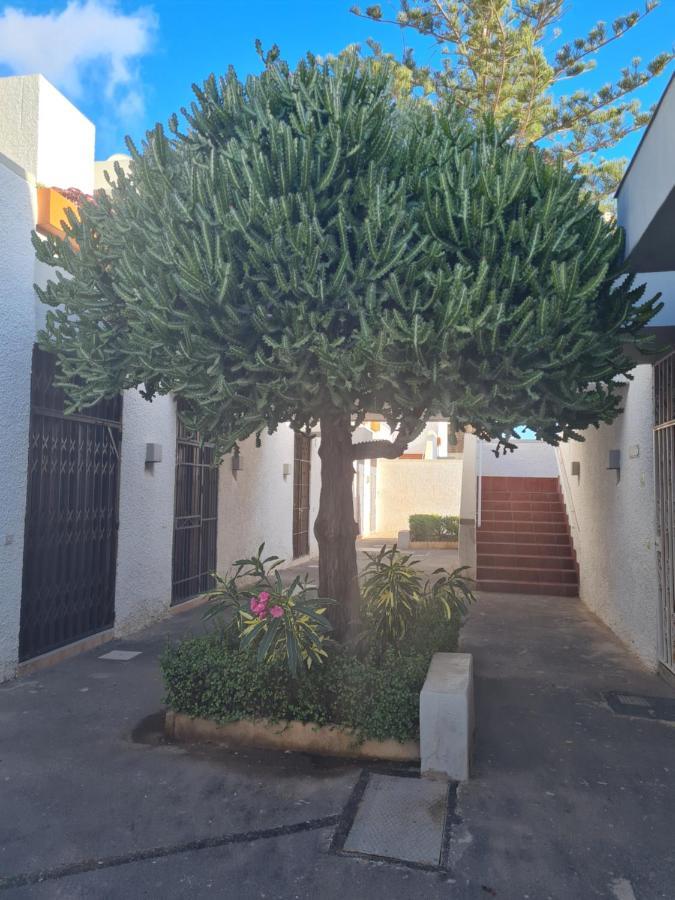 Primavera Apartment Olga With Free Wifi Arona (Tenerife) Exterior foto
