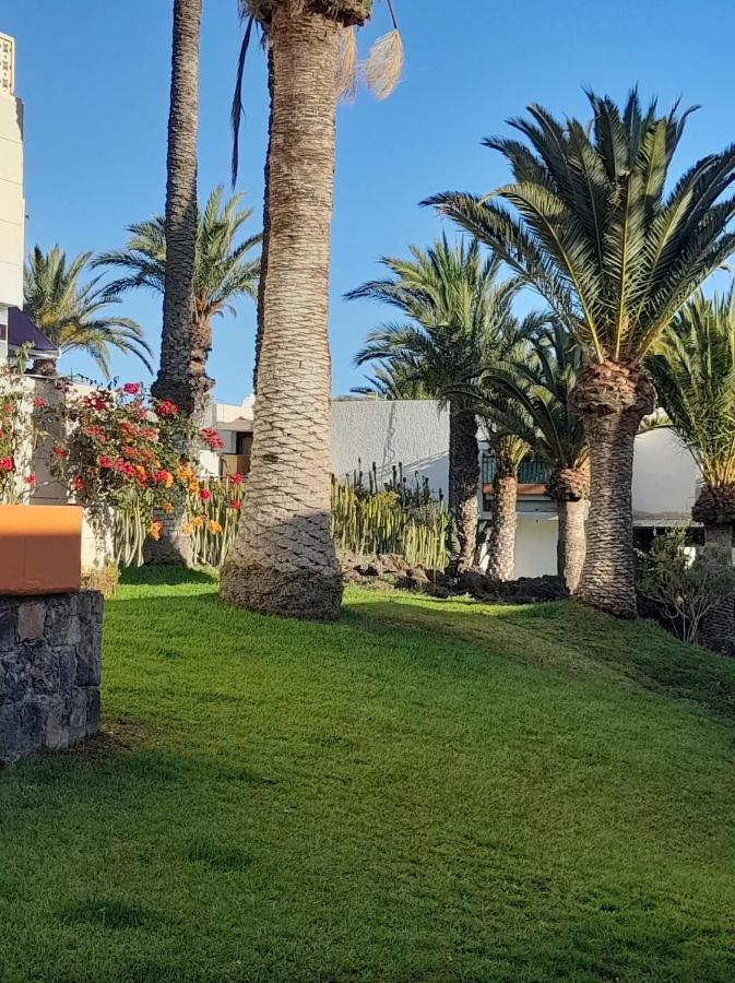 Primavera Apartment Olga With Free Wifi Arona (Tenerife) Exterior foto