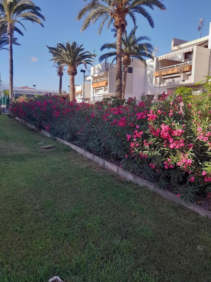 Primavera Apartment Olga With Free Wifi Arona (Tenerife) Exterior foto