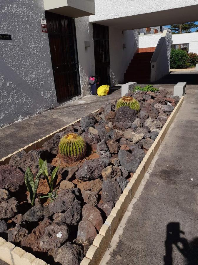 Primavera Apartment Olga With Free Wifi Arona (Tenerife) Exterior foto